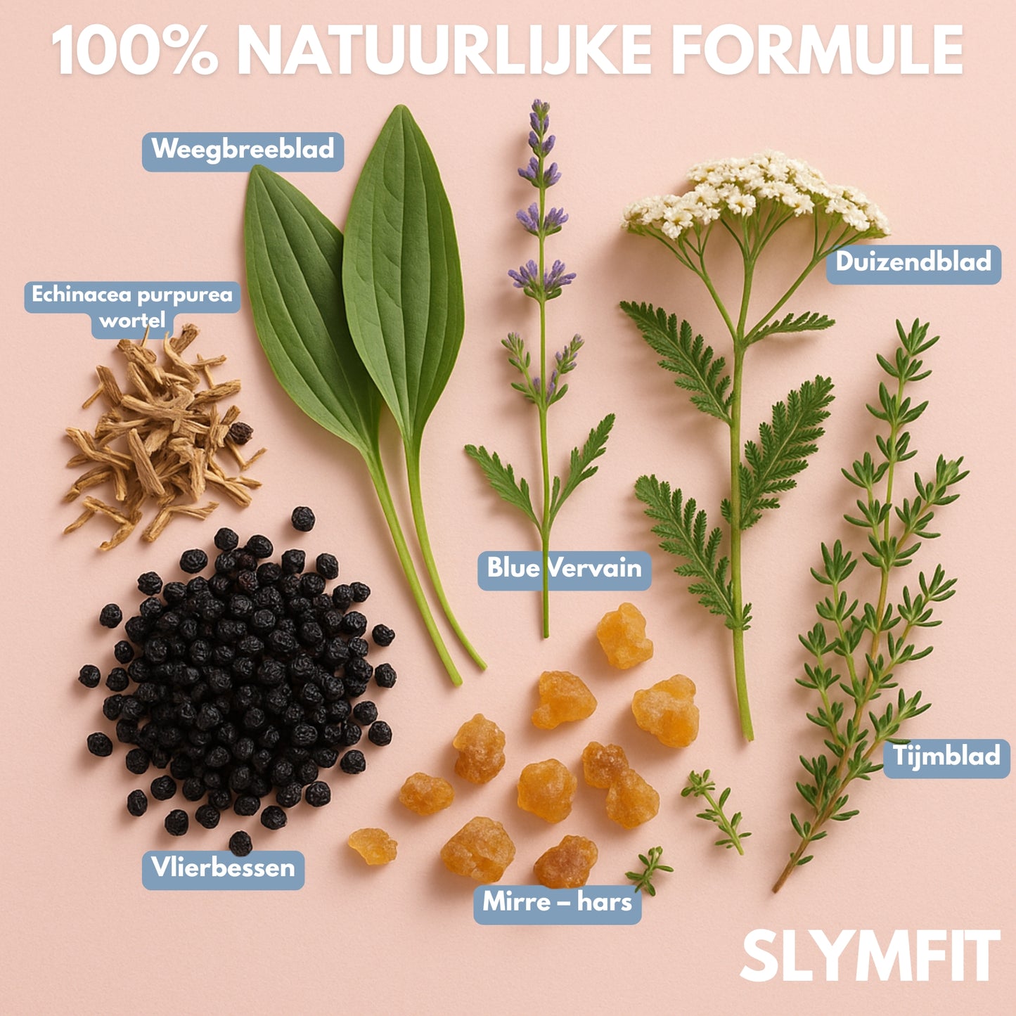 SLYMFIT | Debloat Elixir